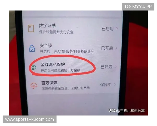 凯发体育备用平台下载后如何进行账号安全设置与个人信息保护